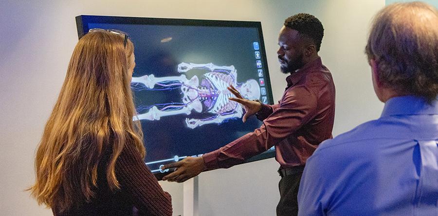 A student demonstrates how to use an Anatomage Table, an advanced 3D anatomy visualization system, point to a large touchscreen. 